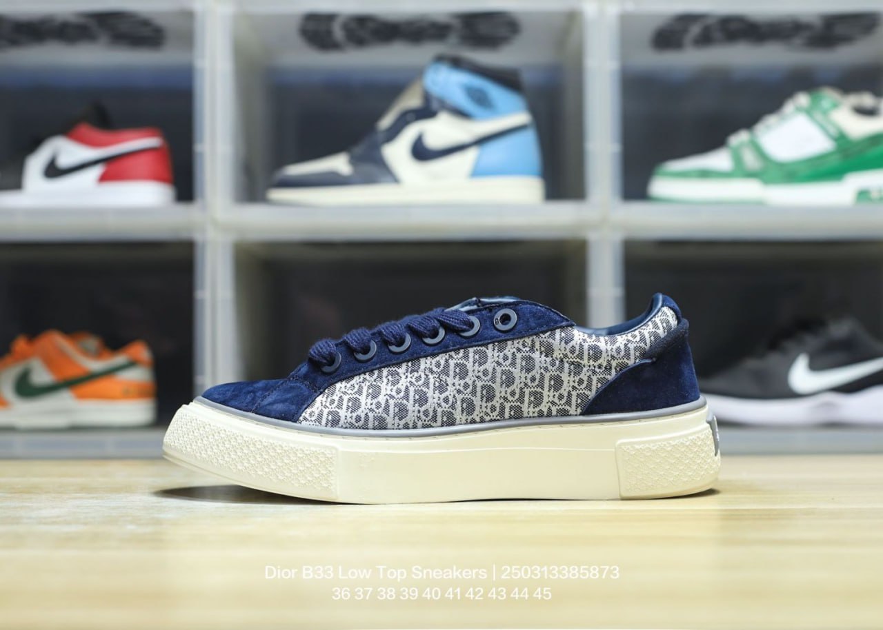 BF Batch Dior B33