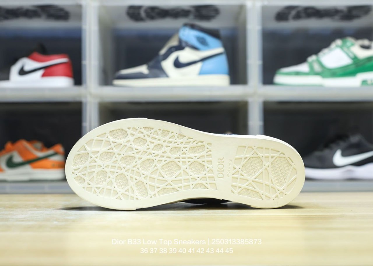 BF Batch Dior B33