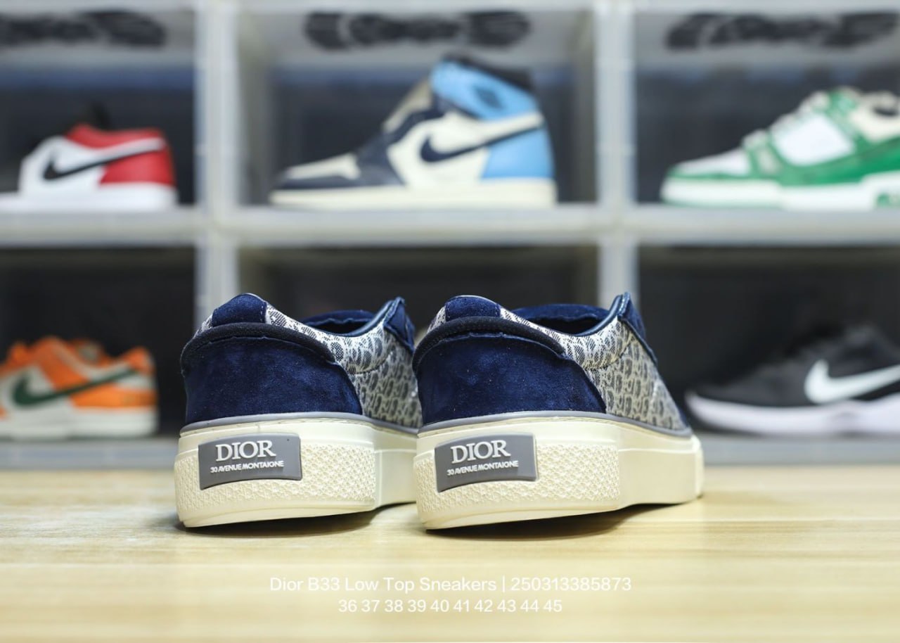 BF Batch Dior B33